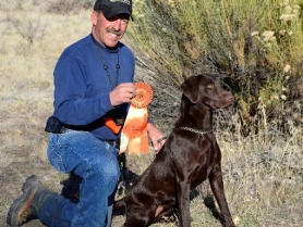 bella-akc-junior-hunter-title