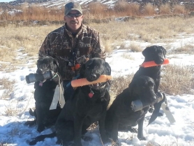 johnny-cash-lady-and-smokey-akc-senior-hunter-title