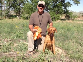 phil-and-annie-akc-senior-hunter-title