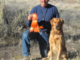 tucker-2-akc-junior-hunter-title